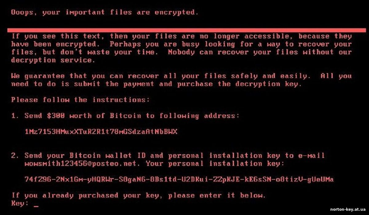 Кейген для Нортон Антивирус - картинка 4